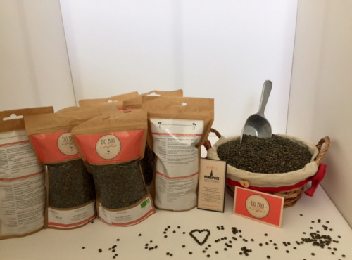 Du bio dans l'assiette - Lentilles Vertes Bio 500gr