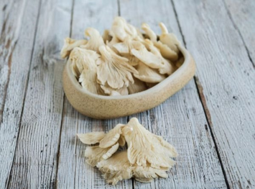 Vézère Horticulture - Champignon pleurote frais 250g