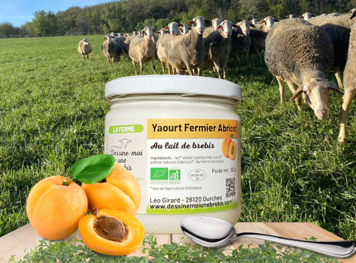 Dessine moi une brebis - Yaourt Brebis Abricot 320g