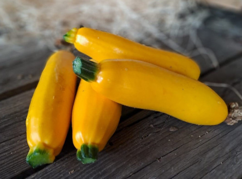 Les Jardins de Gérard - Courgette jaune Bio - 500 g