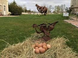 Des Poules et des Vignes à Bourgueil - 18 petits œufs de poules élevés  dans les vignes