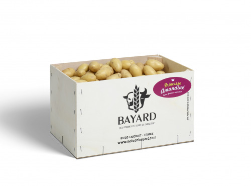 Maison Bayard - Pommes de terre Mini Princesse Amandine - 5kg