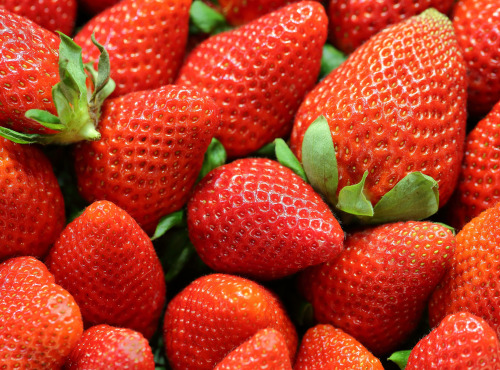 Multiproductions - Cédric Joliveau - Fraises 500g