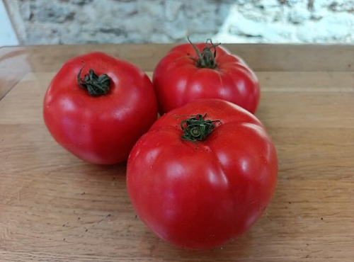 Aux Jardins des Colibris - 1 kg Tomates rondes Bio