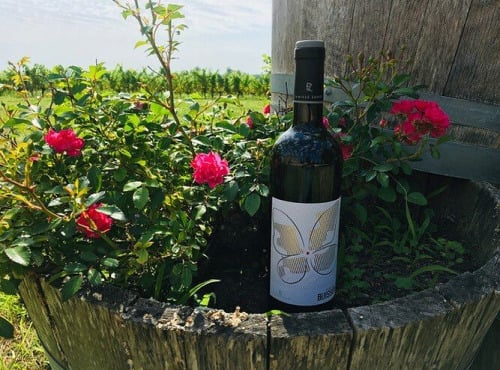 Domaine du Buisson - AOP Bordeaux rouge - 2022 - 6x75cl
