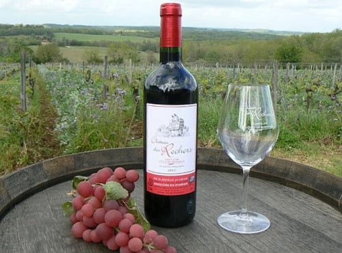 Château des Rochers - Vin rouge AOC Castillon-Côtes de Bordeaux 2017