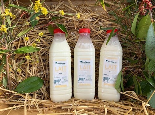 FermOgout - Lait Pasteurisé au goût du terroir - Lot de 3