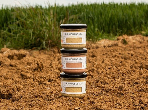 Payzan - Gamme Houmous x3