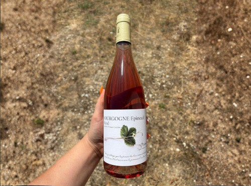 Domaine Céline Coté - Bourgogne Epineuil Rosé 2025