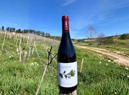 Domaine Céline Coté - Bourgogne Julia 2023