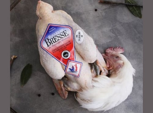 Volailles Morand - Lot de 2 poulettes de Bresse AOP PAC aves tête et pattes