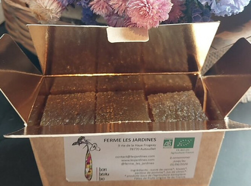 Ferme Les Jardines - Pâtes de fruits de Kïwais Bio - Promo 4 boites au prix de 3