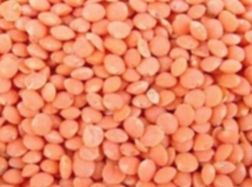 L'OLIVERAIE DU COUDON - Lentilles corail 300 GR SEC