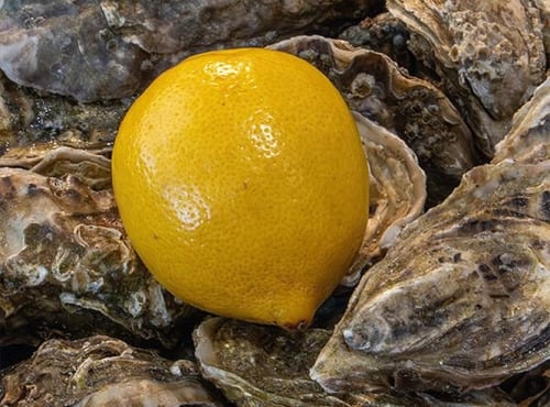 LA BELLE OSTREA - Citron
