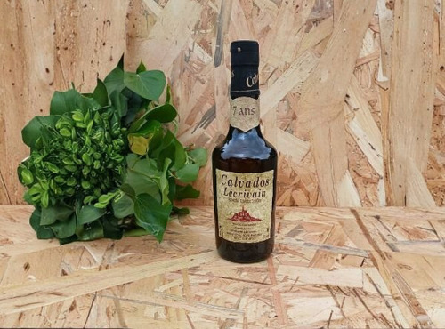 Le Pressoir du Mont - Calvados AOC 7 ans 35 cl