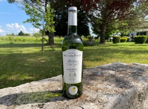 Vignobles Fabien Castaing - AOC Bergerac Blanc Sec Domaine de Moulin-Pouzy Tradition - 75cl