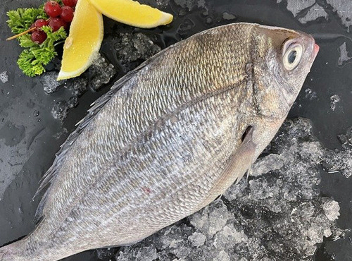 Notre poisson - Dorade Grise écaillé vidé 300/500g en lot de 2kg