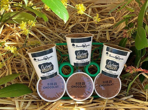 FermOgout - Crème Dessert au chocolat x6