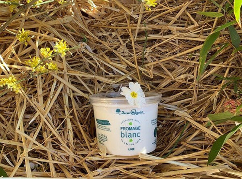 FermOgout - Fromage Blanc Lissé Onctueux 500g