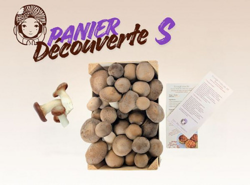 Les Myconautes - Panier Myconautes champignons bio - Taille S