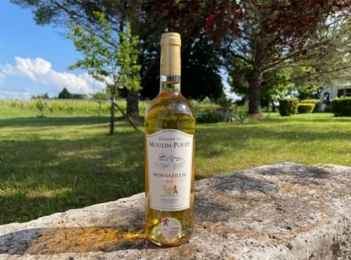 Vignobles Fabien Castaing - AOC Monbazillac Domaine de Moulin-Pouzy Tradition 2022 - 75cl