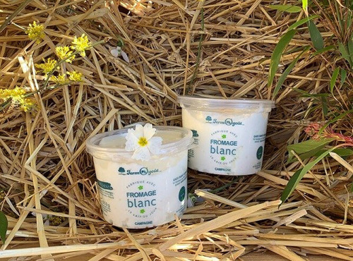 FermOgout - Fromage Blanc Campagne 500g Onctueux - Lot de 2