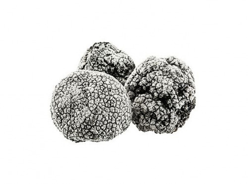 JMC Truffes - Brisure de truffe noire tuber melanosporum 500 g