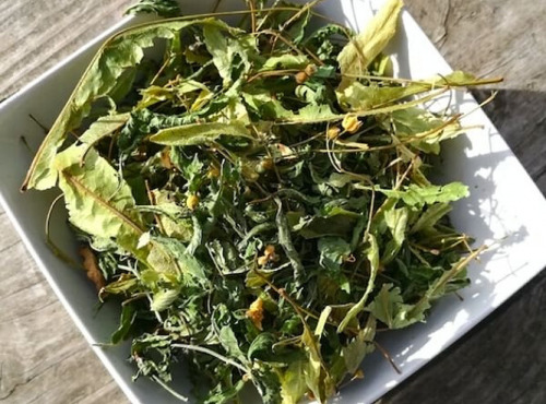 La Cabane à plantes - Infusion Tilleul verveine menthe