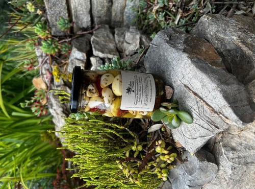 L'OLIVERAIE DU COUDON - Mélange Méditerranéen à l’Ail, poivron, Olives et Herbes 345GR
