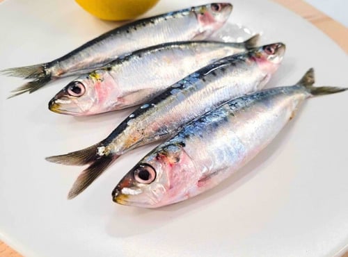 La Criée d'à Côté - Sardines fraîches - 1Kg