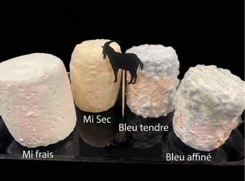 Ferme les Avoineries - Grands chèvres assortis x3
