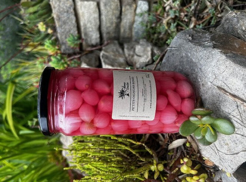 L'OLIVERAIE DU COUDON - PETITS OIGNONS ROSES AU VINAIGRE 700GR / 720ML