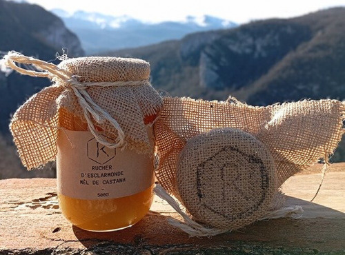Rucher d'Esclarmonde - Miel de Castanh 500g