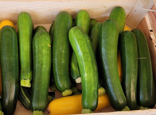 Le Pré de la Rivière - Courgettes vertes bio 2kg - Origine France