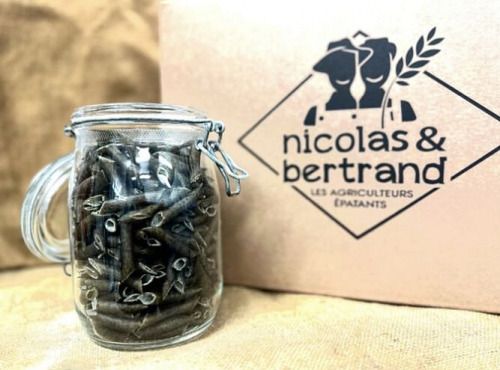 Nicolas & Bertrand - Pâte Fermière Penne ail des ours 5kg
