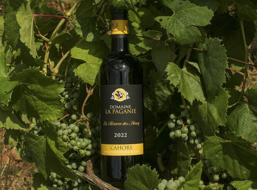 Domaine la Paganie - Vin rouge en Réserve Perpétuelle - Réserve des Henry 2022 - 1 bouteilles