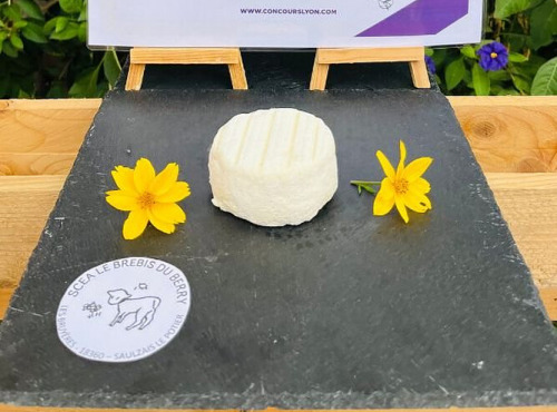 SCEA Brebis du Berry - Le Palais, fromage de brebis 90g