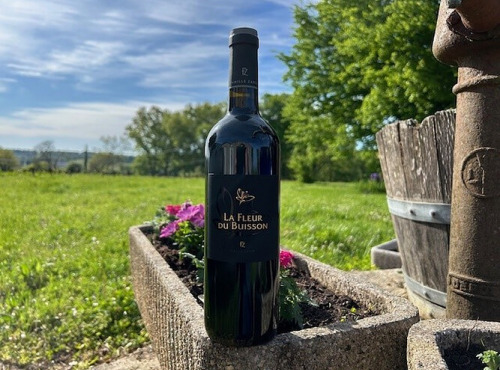 Domaine du Buisson - Vin rouge AOP Bordeaux supérieur - 2022 - élevé en barriques - 75cl