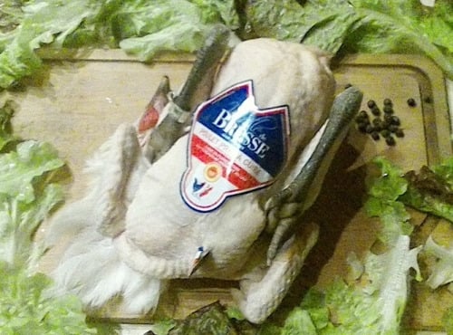 Ferme Tradi-Bresse - Poulet de Bresse AOP 1,5 kg Prêt à Cuire sans tête sans pattes