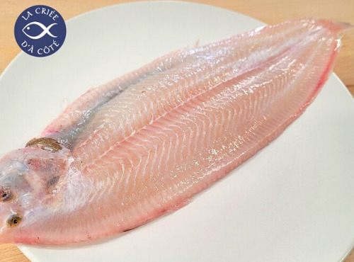 La Criée d'à Côté - Sole | 150g à 180g la pièce