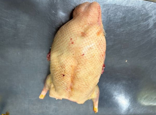 Ferme de Pleinefage - Canard entier sans foie à la pièce - Lot de 6 - ATTENTION DEPART UNIQUEMENT LE JEUDI