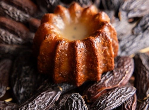 Canelés Louis SCHRAMM - Petits canelés Fève tonka x16