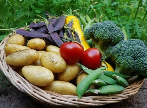 La Coussoyote - Panier de Légumes de saison - 5kg
