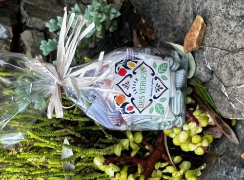 L'OLIVERAIE DU COUDON - SACHET BONBON SAVEURS DES VERGERS 150G