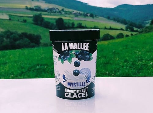 Les Glaces de la Vallée - Yaourt glacés à la myrtille "la Vallée" 500ml