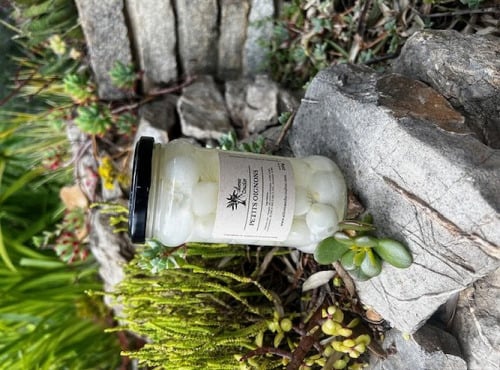 L'OLIVERAIE DU COUDON - PETITS OIGNONS BLANC AU VINAIGRE 290GR / 314ML