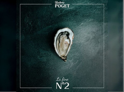 Huîtres Poget - Huîtres La Fine du Galon d'Or n°2 x96