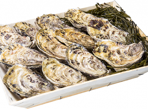 Les Huîtres Chaumard - Huîtres De Paimpol - 5 Douzaines De 2 (60 Huîtres)