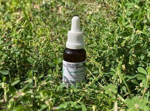 Lou Codou, microferme du Caillou - Mâcérat de bourgeons : Detox o'clock - 30ml