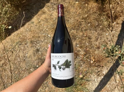 Domaine Céline Coté - Bourgogne Julia 2023 Magnum